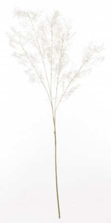 detail Dekorační větvička umělé bílé trávy GD DESIGN