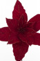 náhled Květ vánoční hvězdy červený GD DESIGN